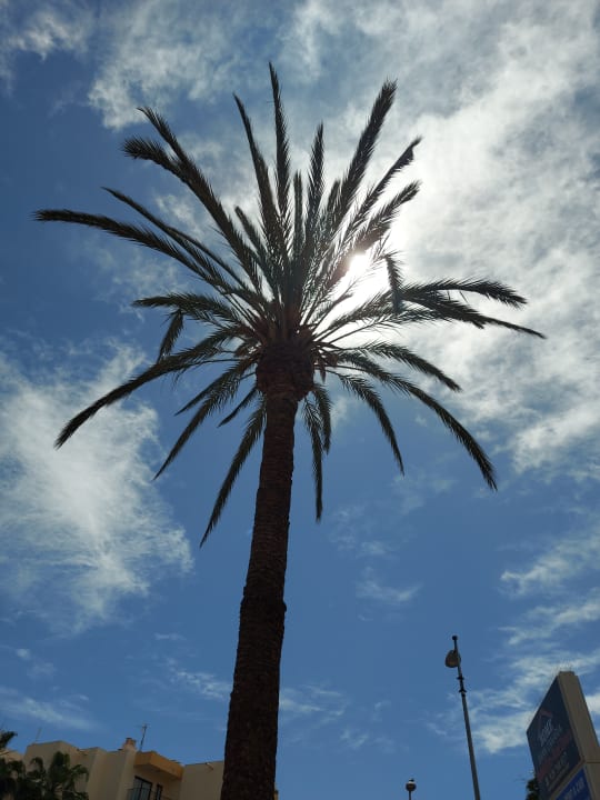 Ausblick Servatur Playa Bonita