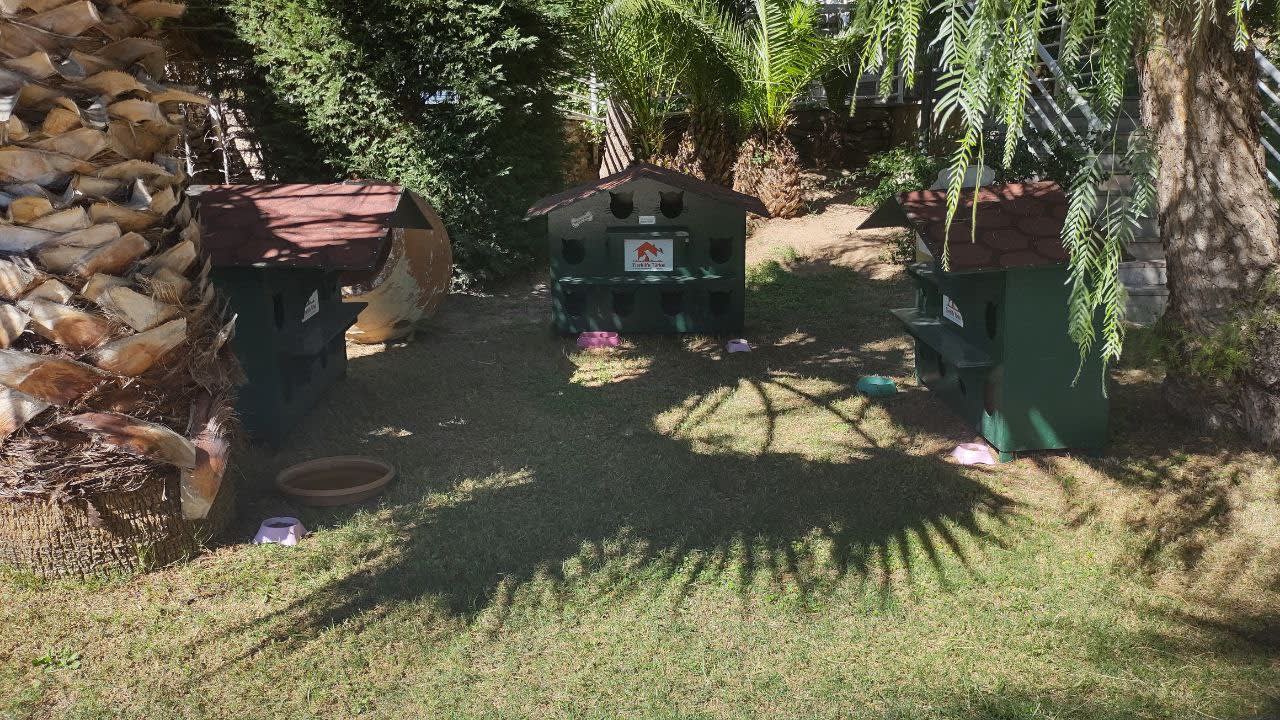 Gartenanlage Paloma Pasha