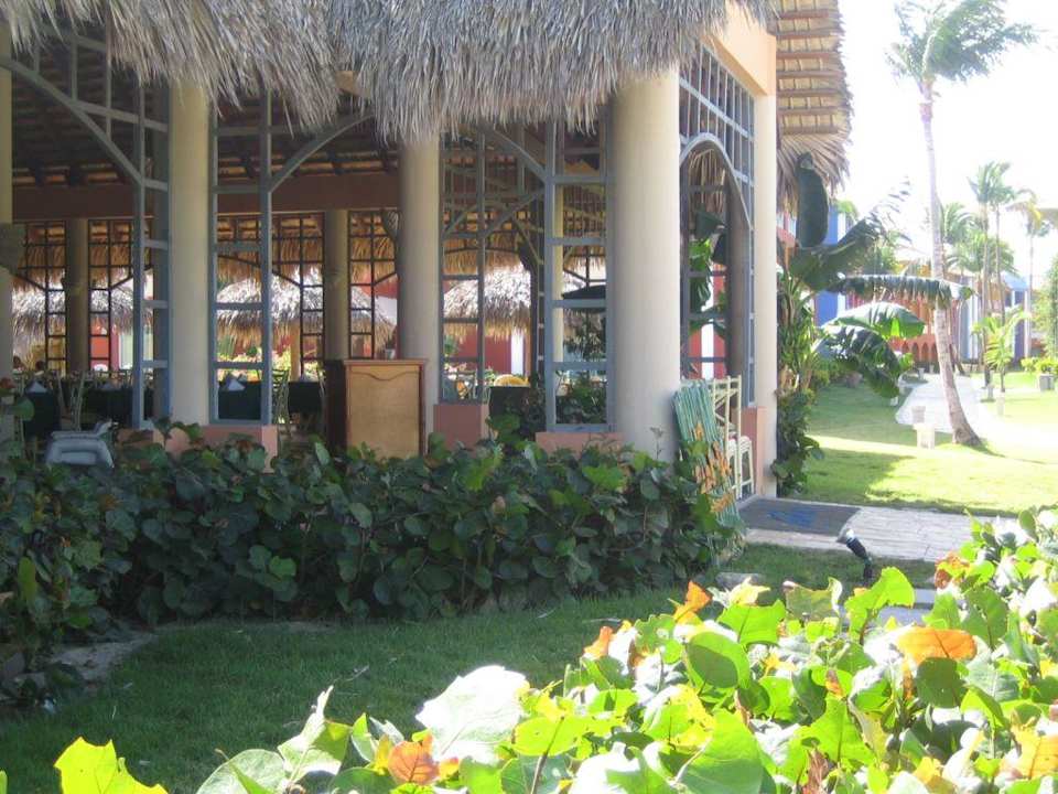 La Cana Royalton Splash Punta Cana