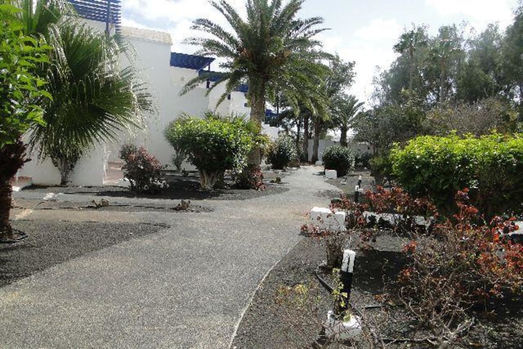 Hinter den Apartments Relaxia Olivina