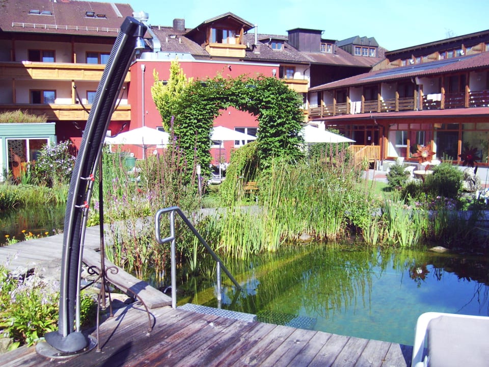 Naturteich im Garten Hotel Regenbogenland Zum Kramerwirt