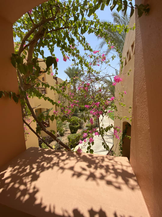 Gartenanlage Steigenberger Coraya Beach - Adults only