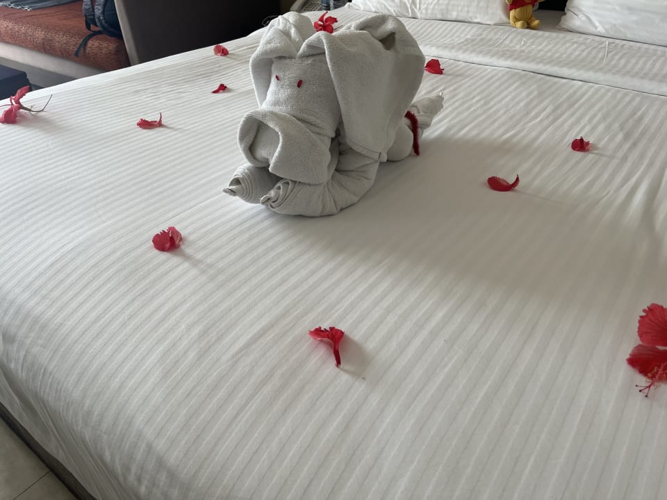 Zimmer Turyaa Kalutara