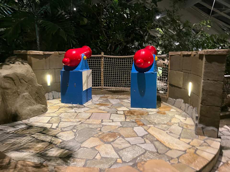 Pool Center Parcs De Kempervennen