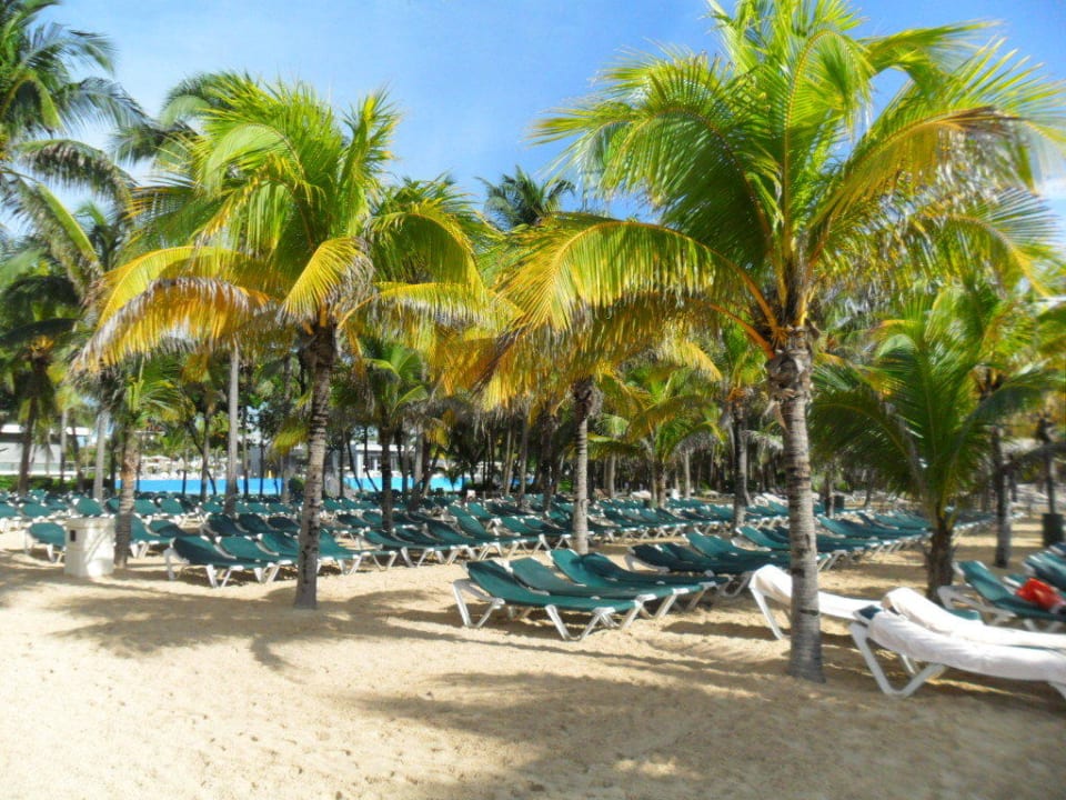 Soviele Liegen Hotel Riu Tequila