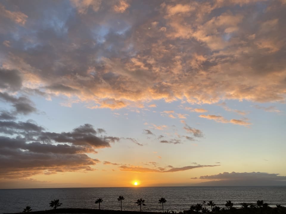 Ausblick Hotel Riu Palace Tenerife