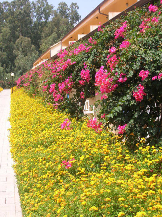 Jardin du club TUI MAGIC LIFE Calabria