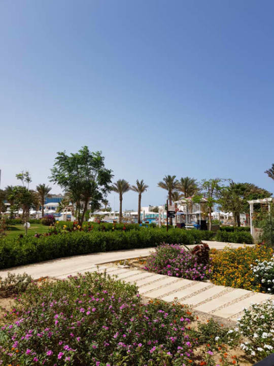 Hilton Hilton Marsa Alam Nubian Resort