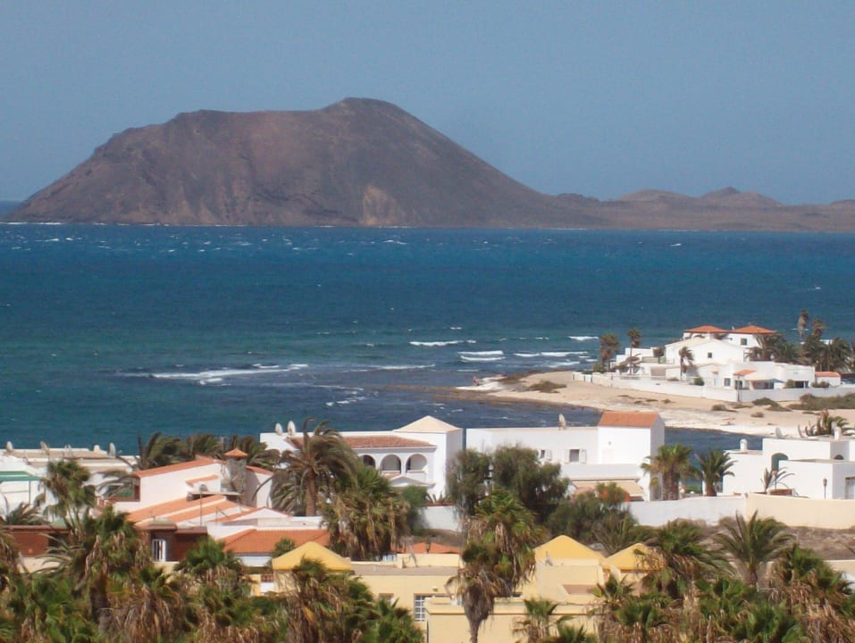 Insel Lobos O7 Aloe Corralejo