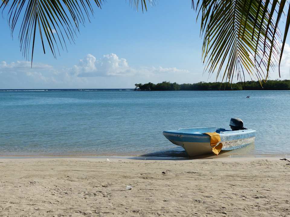 Boot BelleVue Dominican Bay