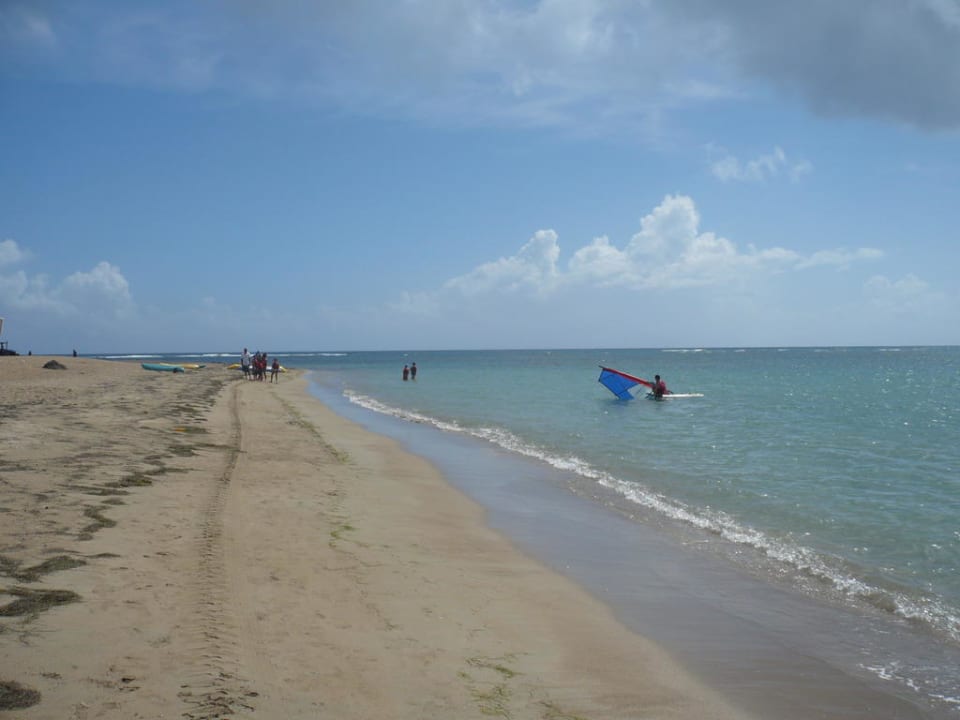 Strand mit wenig Algen Sunscape Puerto Plata