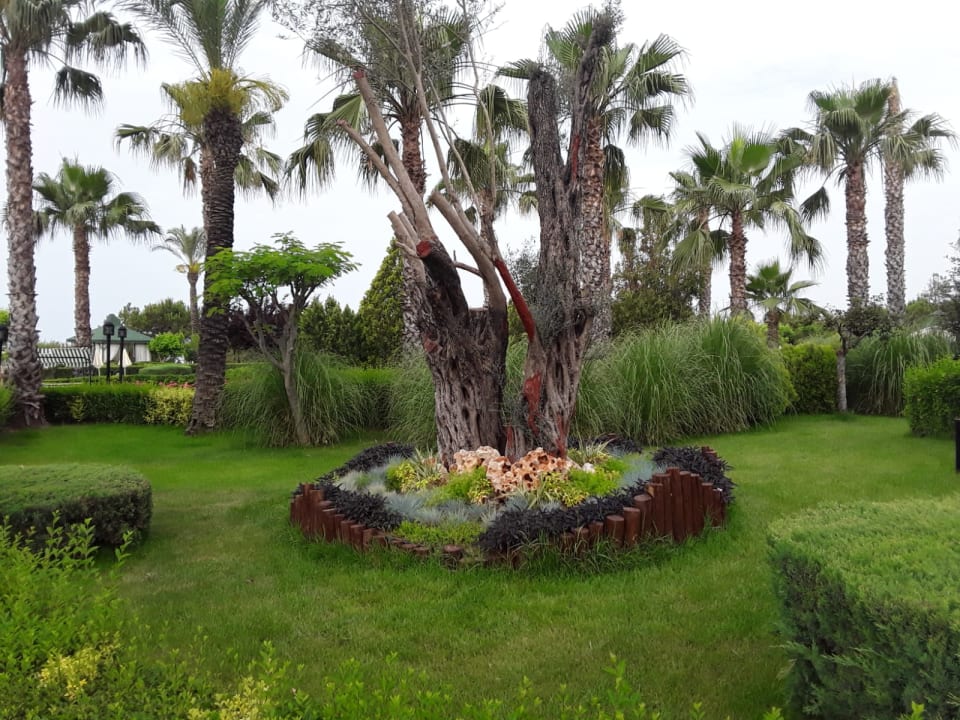 Gartenanlage Trendy Aspendos Beach Hotel