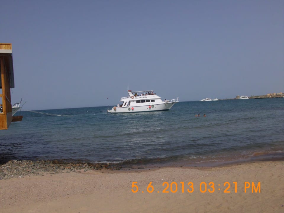 Rotes Meer Aladdin Beach Resort