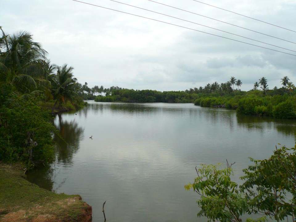 Lagune beim Mangrove Garden Hotel Mangrove Garden