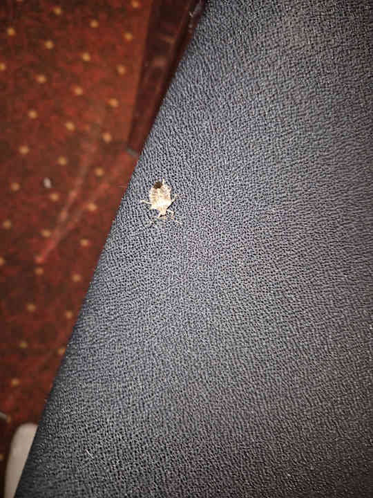 Zimmer Hotel NH Oberhausen