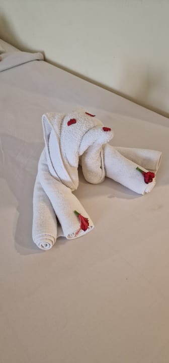 Zimmer Casa Mare Resort