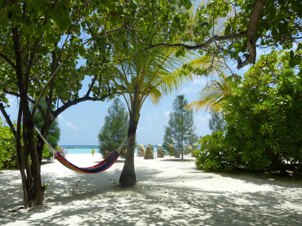 Standardbungalow 18 Summer Island Maldives