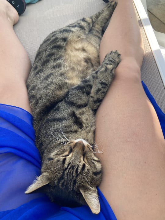 Sonstiges Sunis Evren Beach Resort Hotel & Spa