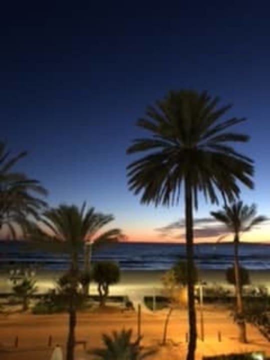 Ausblick HM Tropical