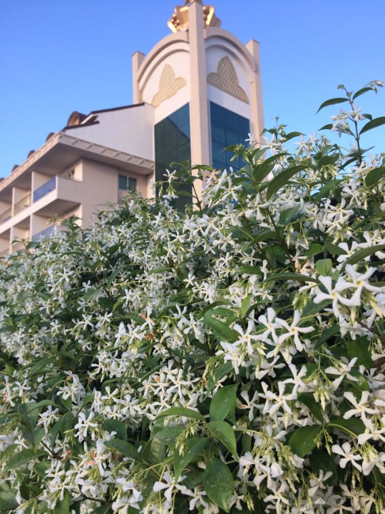 Außenansicht Well Palace Side