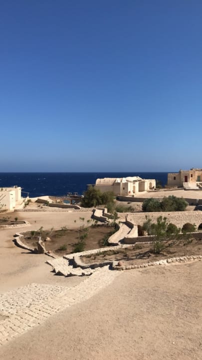 Außenansicht The Oasis Dive Resort