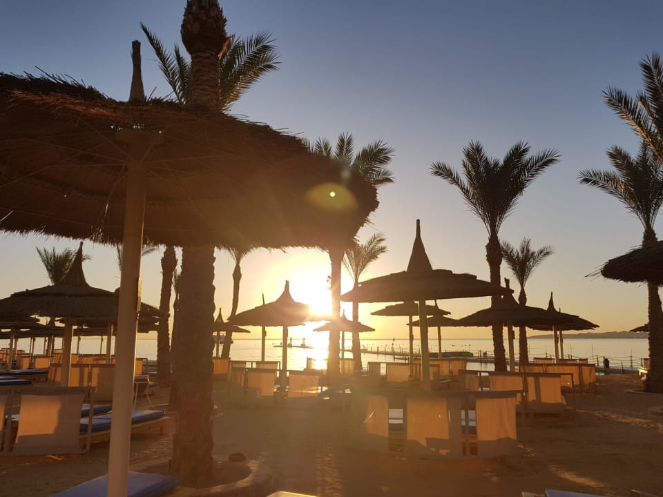 Strand Pickalbatros Palace Resort