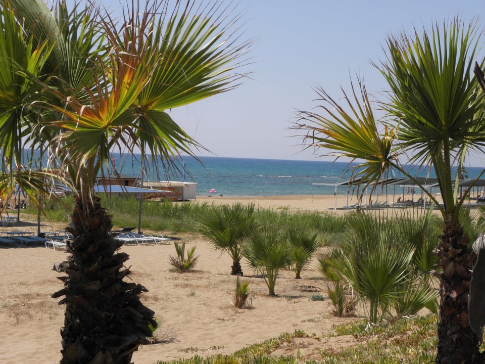 Strand Club Grand Aqua