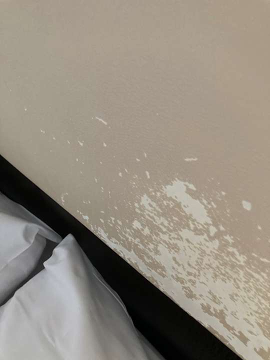 Zimmer Best Western Hotel Jena