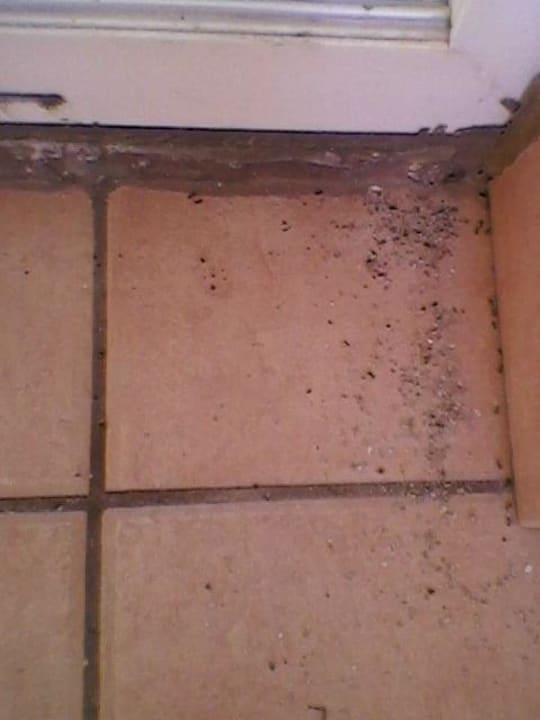 Hmyz Club Turtas Beach Hotel