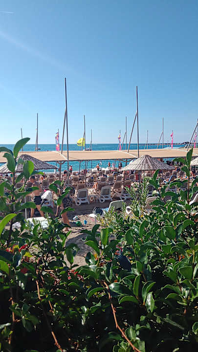 Strand Arycanda Kirman Premium