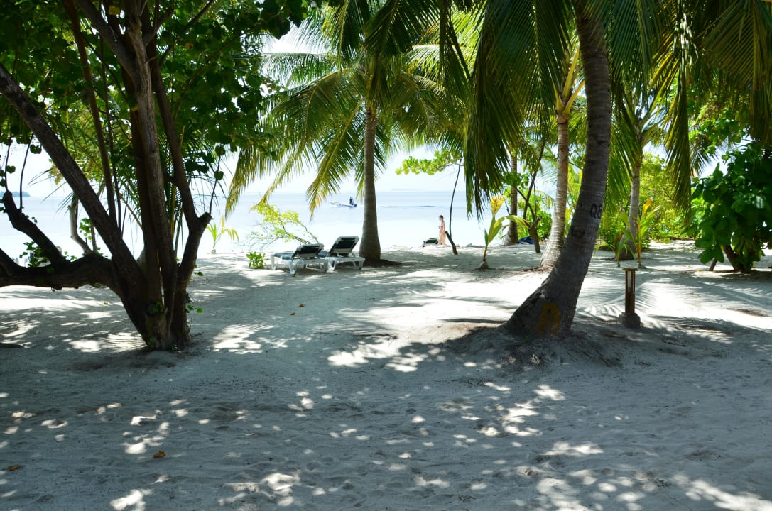 Strand vor JBV 219 Vilamendhoo Island Resort & Spa