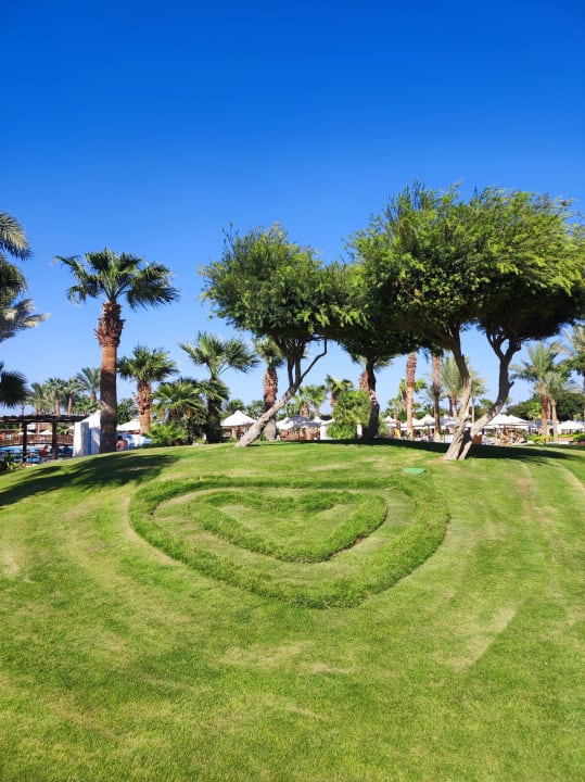 Gartenanlage Steigenberger ALDAU Beach Hotel