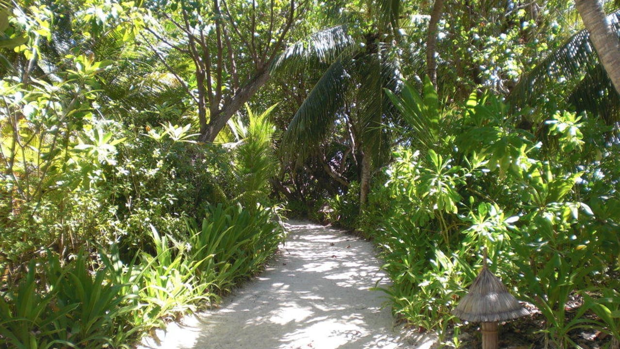 Weg über die Insel Veligandu Maldives Resort Island