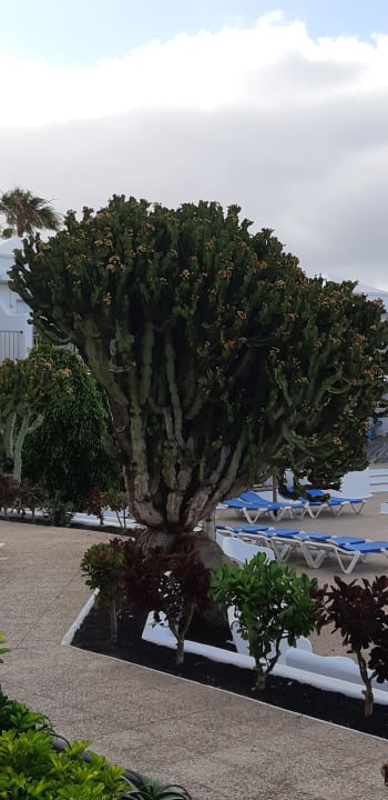 Ausblick Hotel Floresta