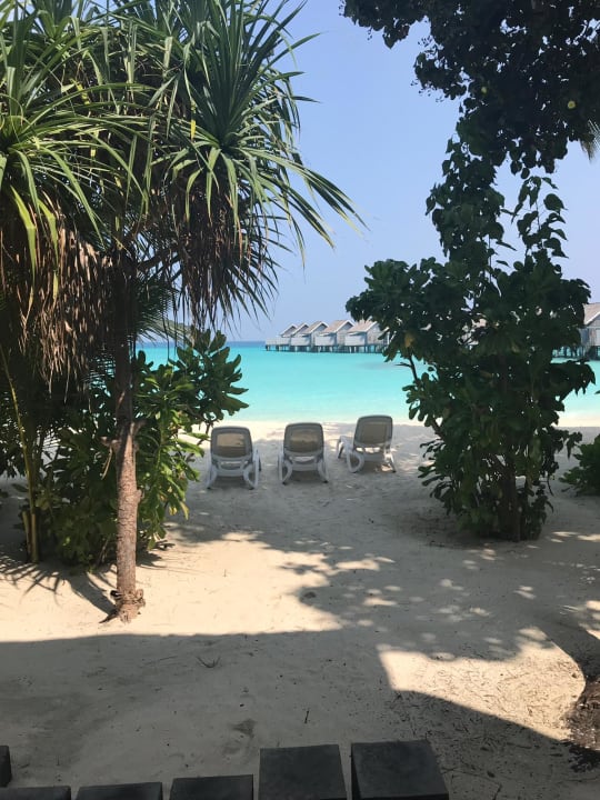 Strand Kuramathi Maldives