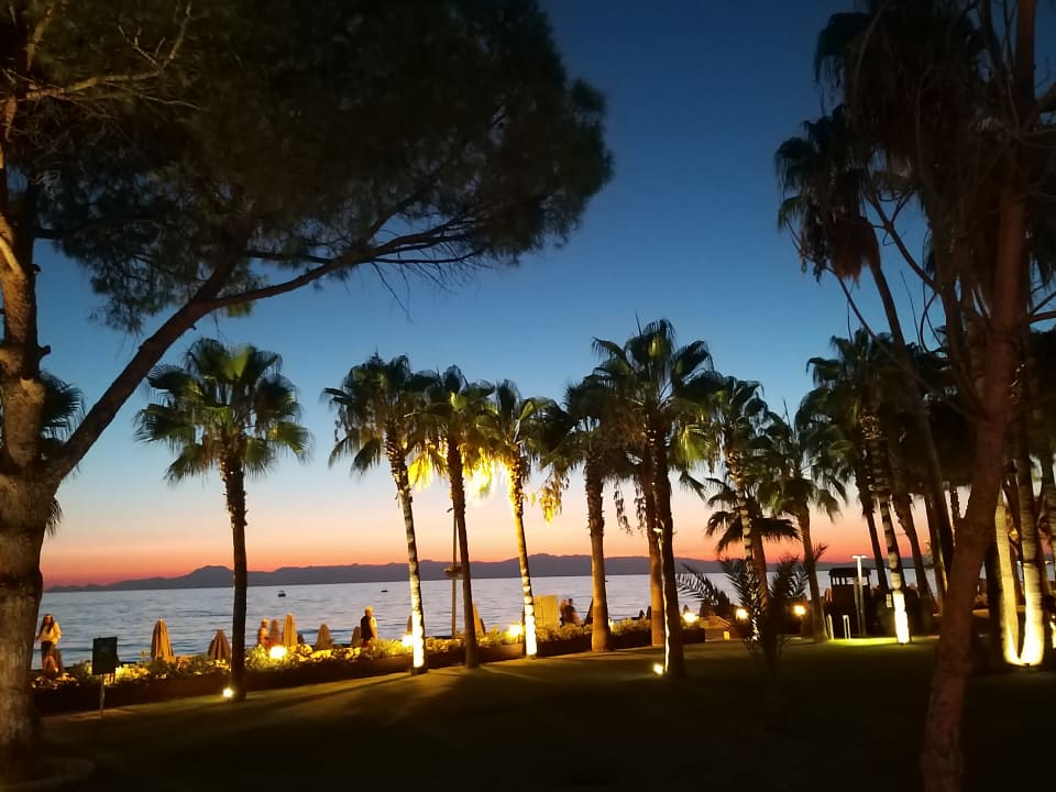 Ausblick Acanthus Cennet Barut Collection