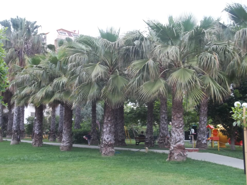 Weg zum Strand Hotel Gardenia Beach