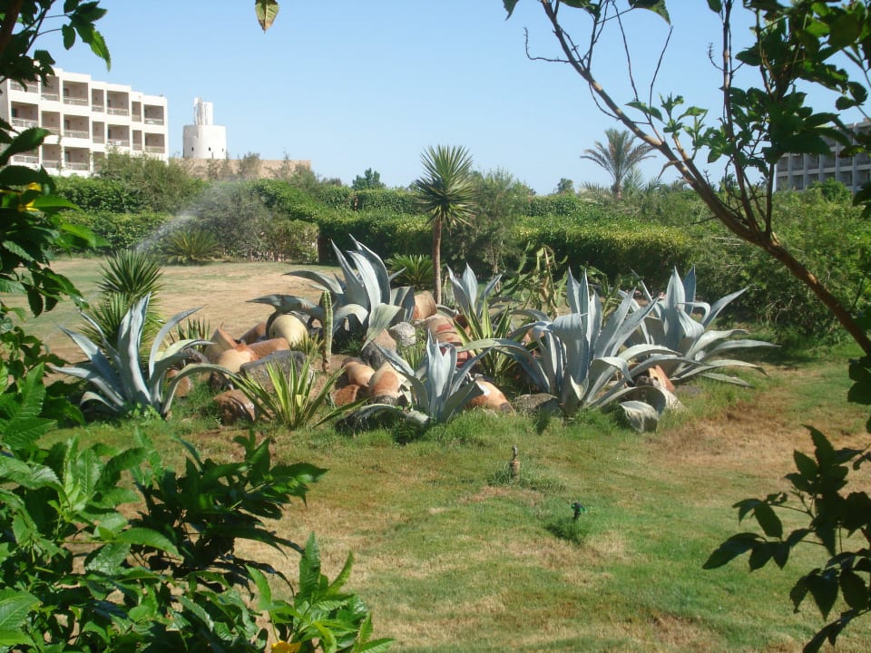 Hotel Fort Arabesque Fort Arabesque Resort, Spa & Villas
