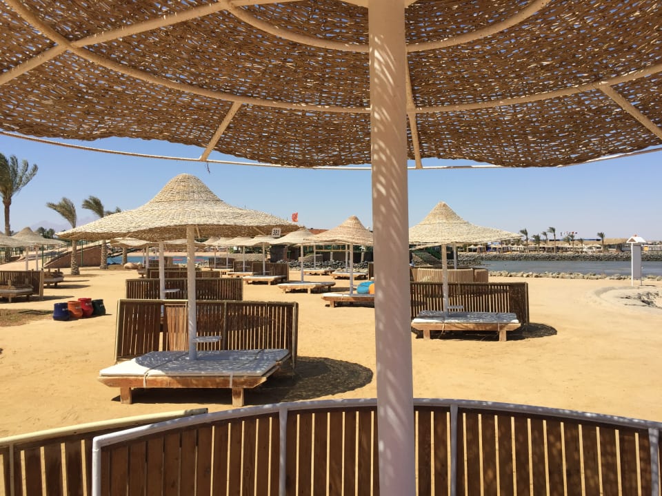 Außenansicht Desert Rose