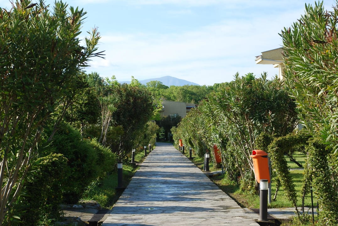 Alejki hotelowe alltoura Club Hotel Poseidon Palace