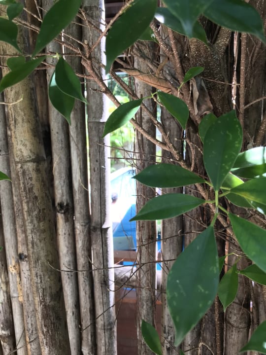 Zimmer The Treasure Koh Madsum - Samui