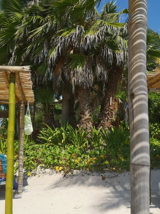 Strand Akumal Bay Beach & Wellness Resort