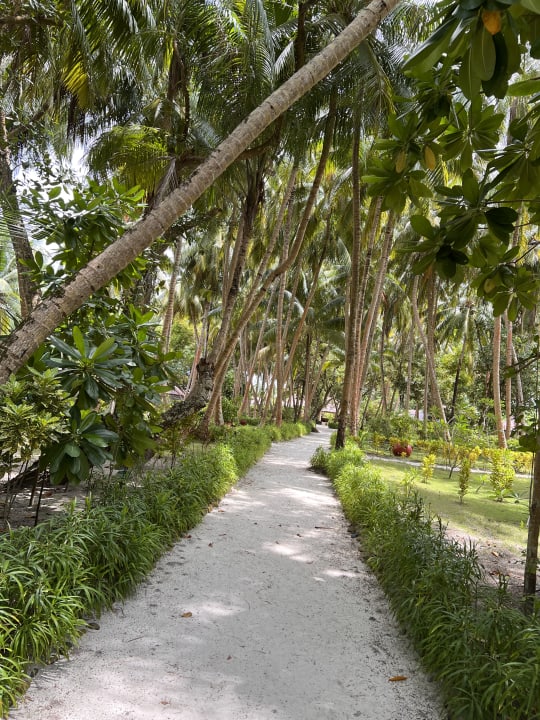 Gartenanlage Filitheyo Island Resort