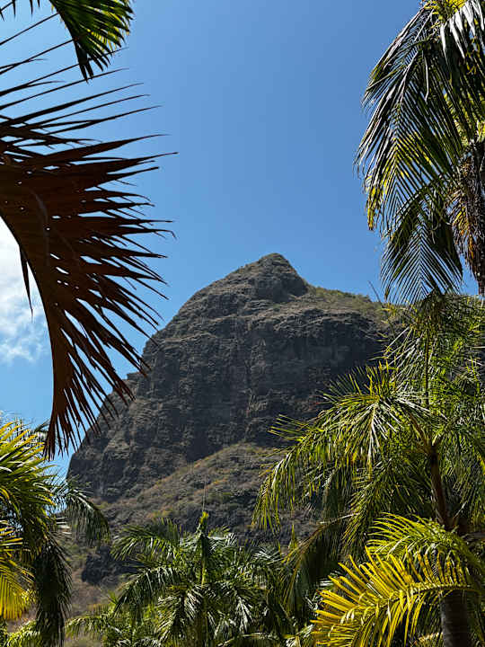 Ausblick Dinarobin Beachcomber Golf Resort & Spa