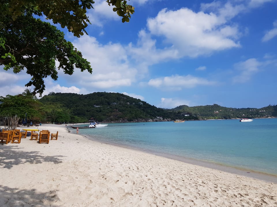 Strand Hotel Cocohut Beach Resort