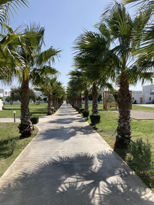 Gartenanlage Atlantica Plimmiri