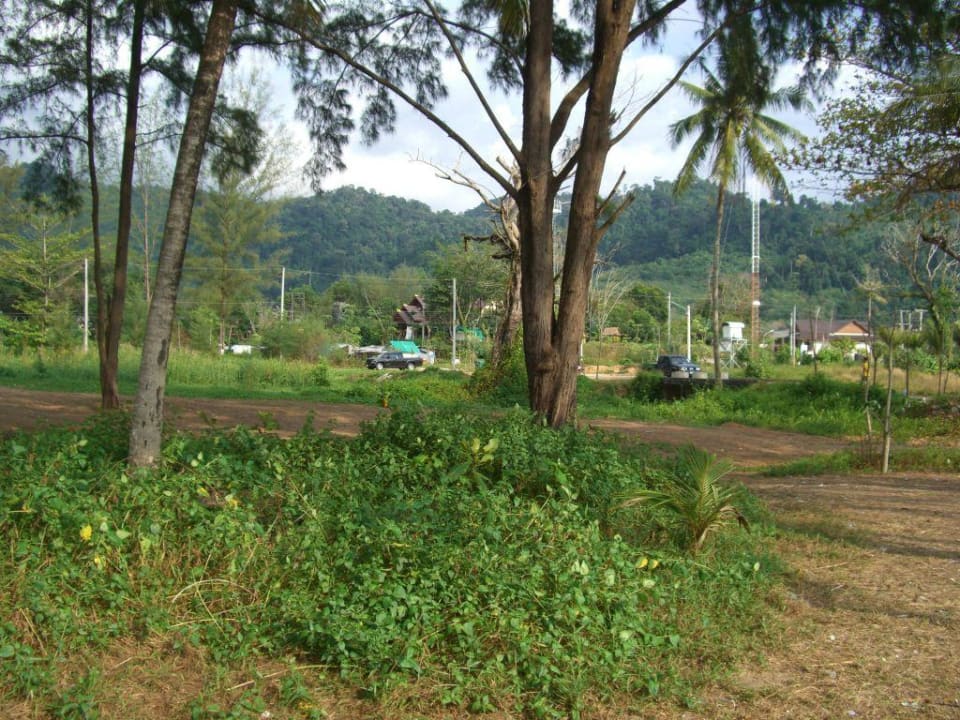 Hotel-Strand Khaolak Bhandari Resort & Spa