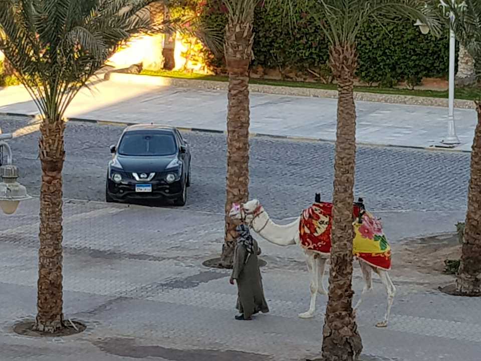 Ausblick Steigenberger Aqua Magic