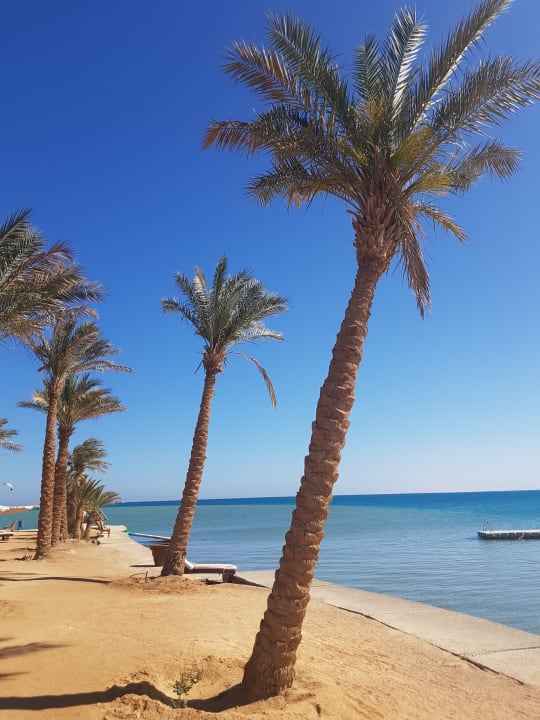 Strand Palm Royale Resort - Soma Bay