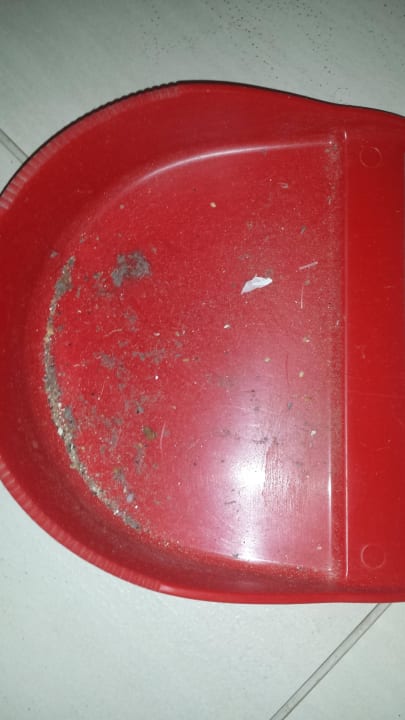 Schmutz im Zimmer selbst gefegt Kefalos Beach Holiday Village